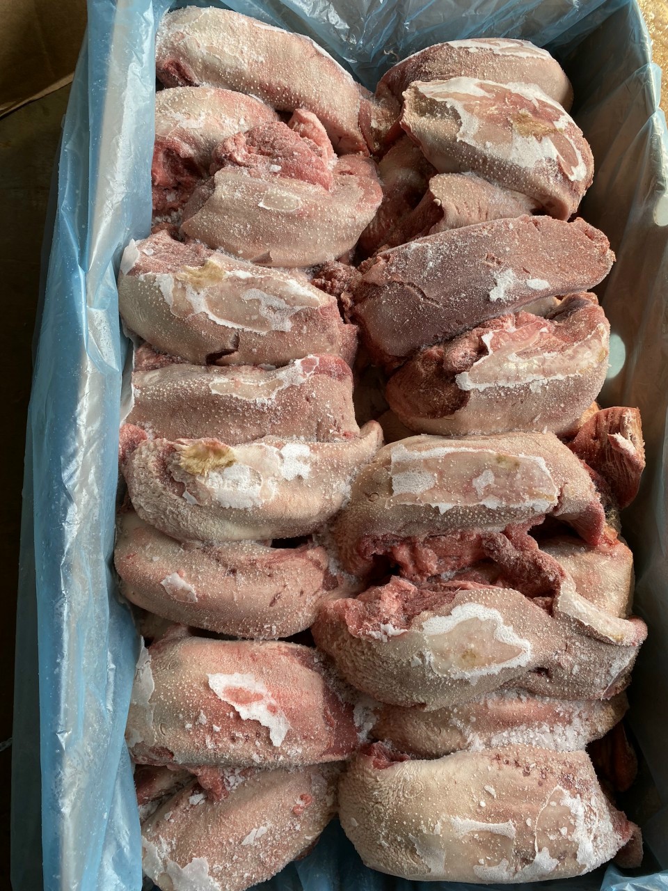 Bán buôn Lưỡi lợn đông lạnh nhập khẩu tại hà nội